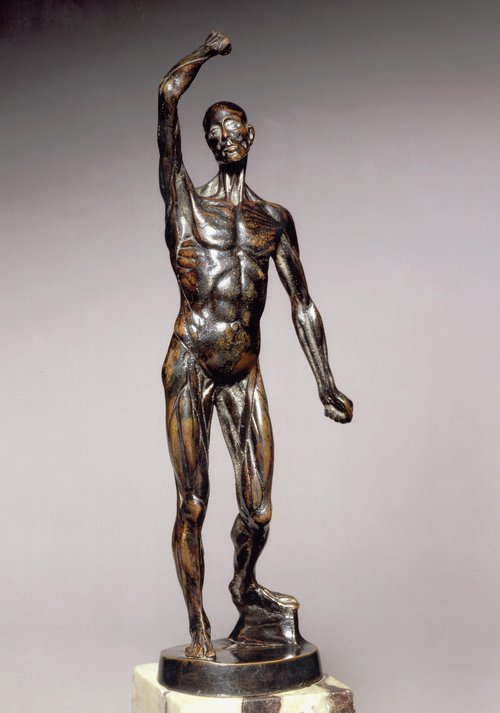 Bronze Ecorche cast by Edward Burch after Michael Henry Spang, ca 1767. 25 cm © The Hunterian Museum, Glasgow