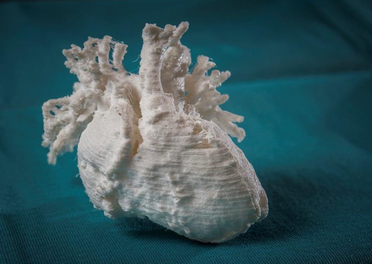 3D-geprint hartmodel