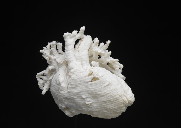 3D-geprint hartmodel